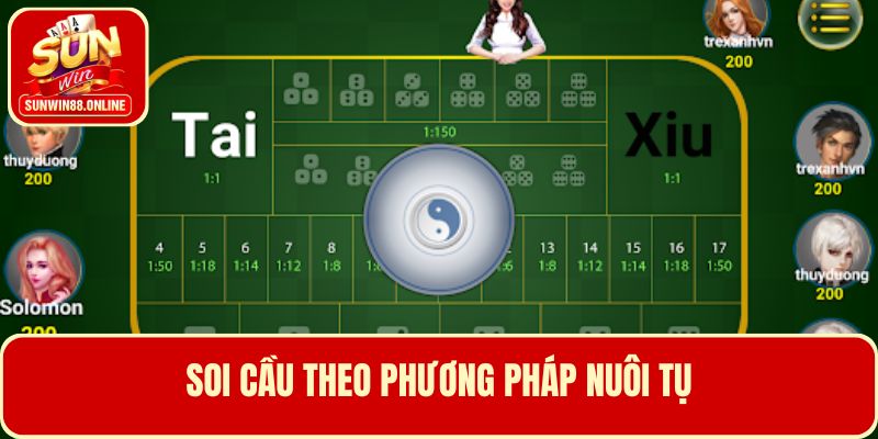 Kinh nghiệm soi cầu tài xỉu theo phương pháp nuôi tụ 